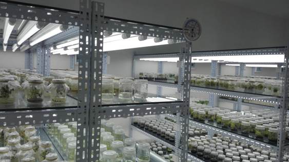 说明:C:\Documents and Settings\Administrator\桌面\IMG_20160414_112323_看图王.jpg 说明:C:\Documents and Settings\Administrator\桌面\IMG_20160414_112323_看图王.jpg